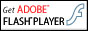 Adobe Flash