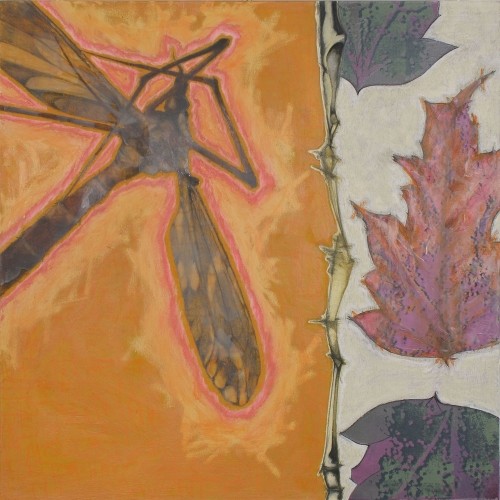 Martin Deegan, Mixed Media