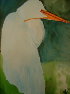 Great Egret 2008